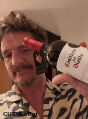 A Man Holding A Bottle Of Casillero Del Diablo Wine GIF