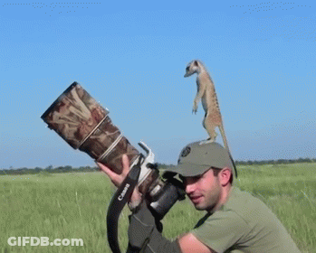 A Man Holding A Camera With A Canon Strap GIF