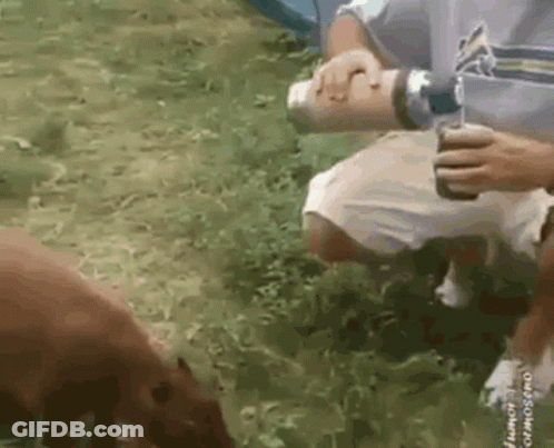 A Man Holding A Can Of Soda And A Bottle Of Water GIF