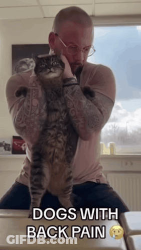 A Man Holding A Cat With The Words Dogs With Back Pain Below It GIF