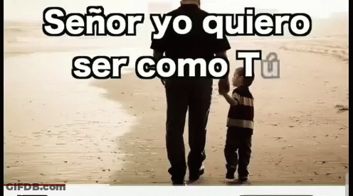 A Man Holding A Child 'S Hand On The Beach With The Words " Señor Yo Quiero Ser Como Tu " GIF