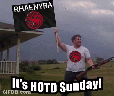 A Man Holding A Flag That Says Rhaenyra GIF