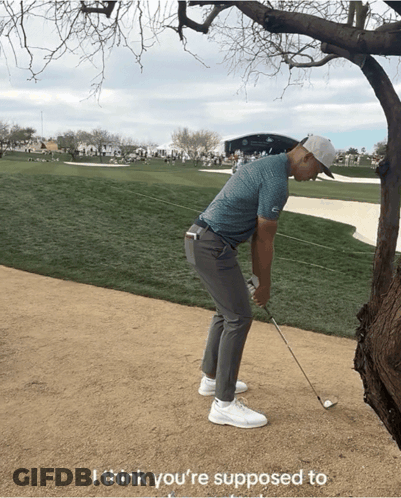 A Man Holding A Golf Club On A Golf Course With The Words I Think You 'Re Supposed To GIF