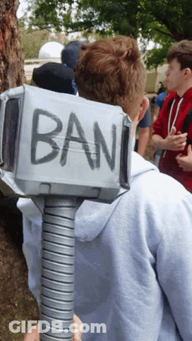 A Man Holding A Hammer That Has The Word Ban Written On It GIF
