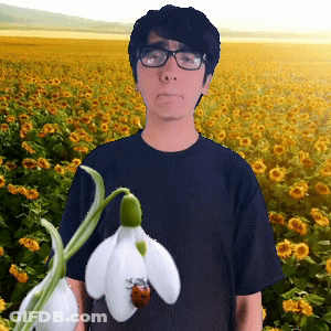 A Man Holding A Ladybug And A Flower In Front Of A Field Of Flowers GIF
