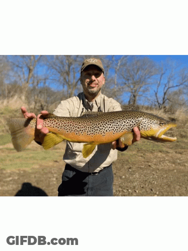 A Man Holding A Large Brown Trout Wearing A Hat That Says Ncd GIF