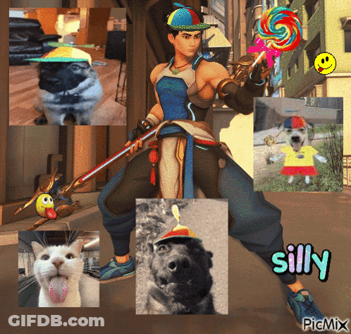 A Man Holding A Lollipop Is Surrounded By Pictures Of Animals And Says Silly GIF