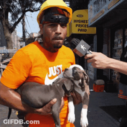 A Man Holding A Puppy Wearing An Orange Shirt That Says Just GIF