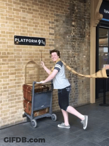 A Man Holding A Wand In Front Of A Sign That Says Platform 9 3/4 GIF
