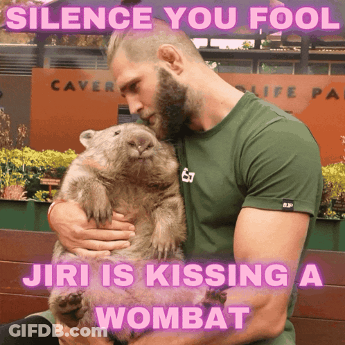 A Man Holding A Wombat With A Caption That Says " Silence You Fool Jiri Is Kissing A Wombat " GIF
