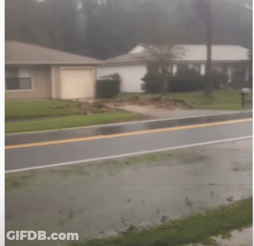 A Man Holding An American Flag Runs Down The Street GIF