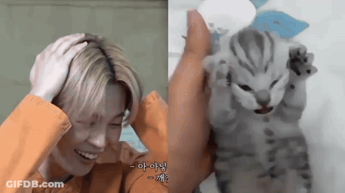 A Man Holding His Head Next To A Kitten With Chinese Writing On It GIF