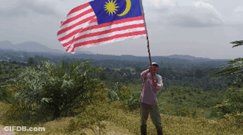 A Man Holds A Flag In Front Of A Lush Green Hillside GIF