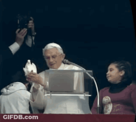 A Man Holds A White Dove In Front Of A Microphone GIF
