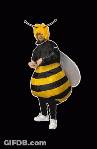 A Man In A Bee Costume With A Yellow Hat On GIF