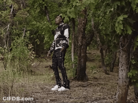 A Man In A Black And White Sweater Stands In A Forest GIF