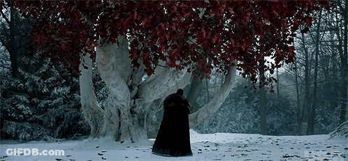 A Man In A Black Cloak Is Standing Under A Tree With Red Leaves GIF