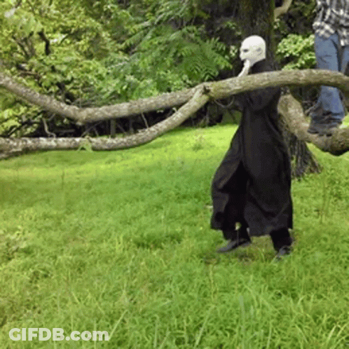 A Man In A Black Coat Is Holding A Tree Branch In A Field GIF