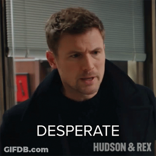 A Man In A Black Coat Is Standing In Front Of A Window With The Words Desperate Hudson & Rex Written On The Bottom . GIF