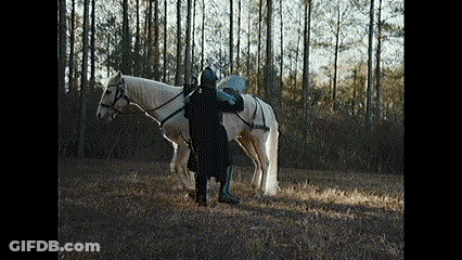 A Man In A Black Coat Is Standing Next To A White Horse In A Field . GIF