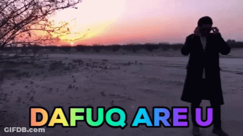 A Man In A Black Coat Stands In Front Of A Sunset With The Words Dafuq Are U GIF