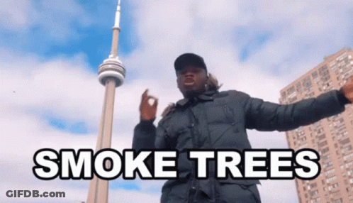 A Man In A Black Jacket Is Standing In Front Of A Smoke Trees Sign . GIF