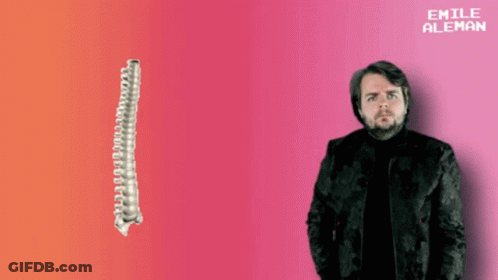 A Man In A Black Jacket Stands In Front Of A Pink Background With Emile Aleman Written On It GIF