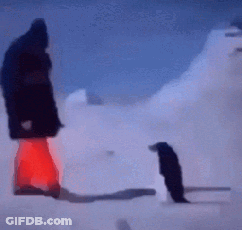 A Man In A Black Jacket Stands Next To A Penguin GIF