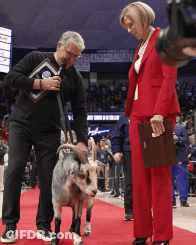 A Man In A Black Shirt Is Holding A Microphone While A Woman In A Red Suit Stands Next To A Small Goat GIF