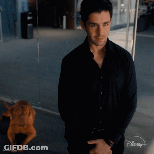 A Man In A Black Shirt Is Standing Next To A Dog With Disney + Written On The Bottom Right GIF