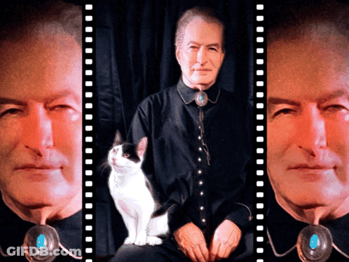 A Man In A Black Shirt With A Turquoise Pendant Sits Next To A White Cat GIF
