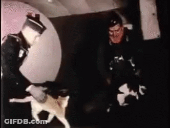 A Man In A Black Shirt With The Letter T On It Stands Next To A Cat GIF