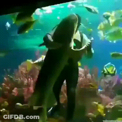A Man In A Black Suit Is Standing In Front Of A Large Fish Tank GIF