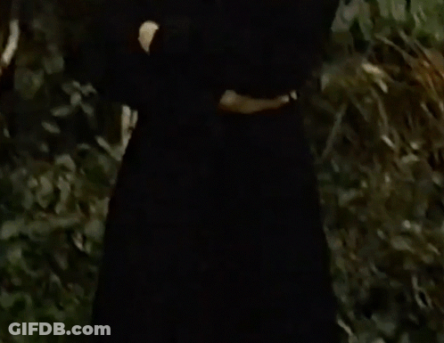 A Man In A Black Sweater Is Standing In Front Of A Bush . GIF