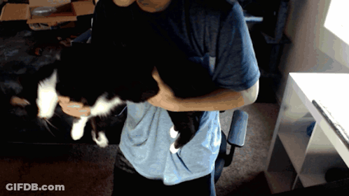 A Man In A Blue Shirt Holds A Black And White Cat GIF