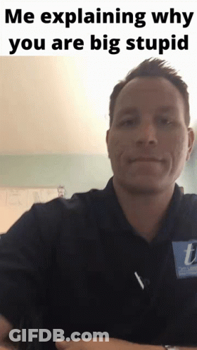 A Man In A Blue Shirt Is Explaining Why You Are Big Stupid GIF