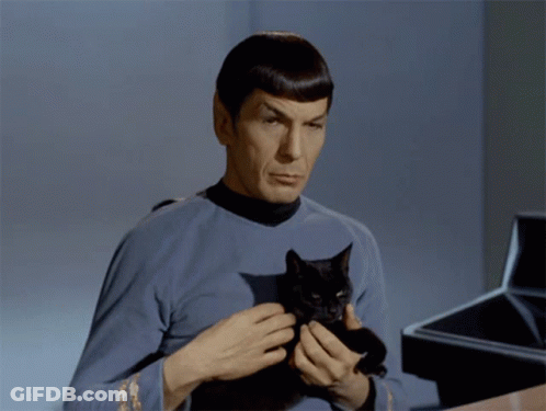 A Man In A Blue Shirt Is Holding A Black Cat In His Hands GIF