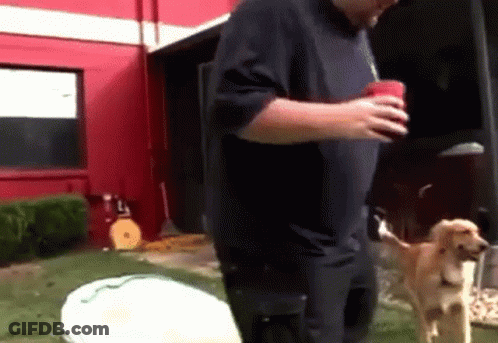 A Man In A Blue Shirt Is Standing Next To A Dog And Holding A Red Cup GIF