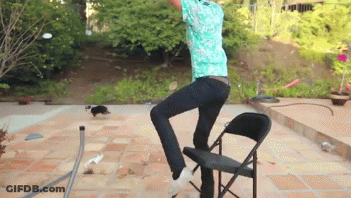 A Man In A Blue Shirt Is Standing On One Leg On A Folding Chair GIF