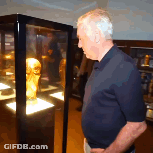 A Man In A Blue Shirt Looks At A Trophy In A Case GIF