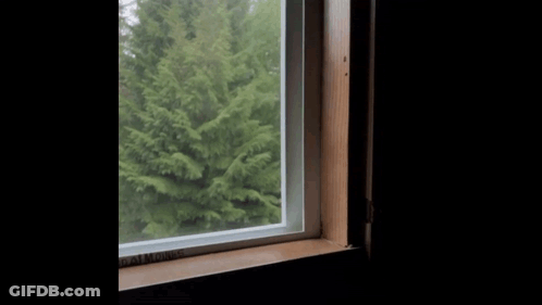 A Man In A Blue Shirt Looks Out A Window With Trees Behind Him GIF