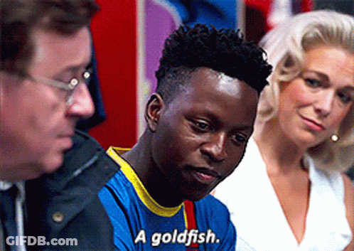 A Man In A Blue Shirt Says " A Goldfish " GIF