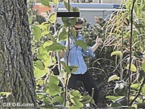 A Man In A Blue Shirt Stands In A Lush Green Forest GIF