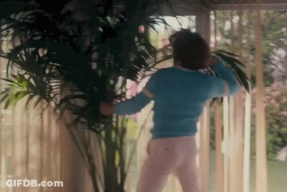 A Man In A Blue Sweater And White Pants Is Standing In Front Of A Window With A Palm Tree In The Background . GIF