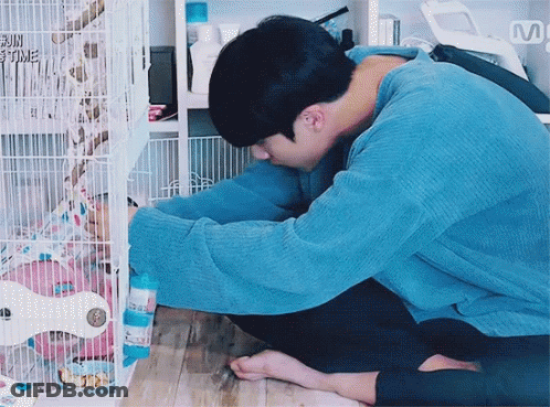 A Man In A Blue Sweater Is Kneeling On The Floor Near A Bird Cage . GIF
