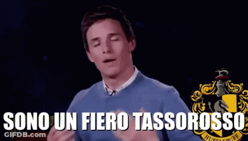 A Man In A Blue Sweater Is Standing In Front Of A Hufflepuff Crest And Says Sono Un Fiero Tassorosso GIF