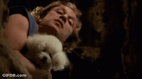 A Man In A Blue Tank Top Is Holding A Small White Dog In His Arms . GIF