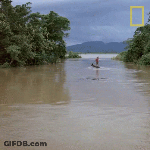 A Man In A Boat In A Flooded Area With A National Geographic Logo In The Background GIF