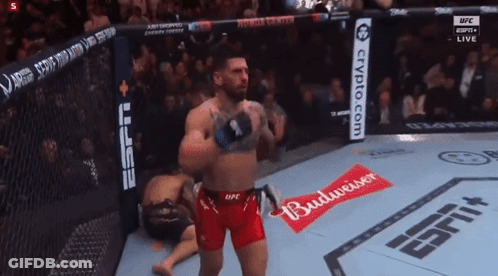 A Man In A Boxing Ring With A Budweiser Advertisement GIF