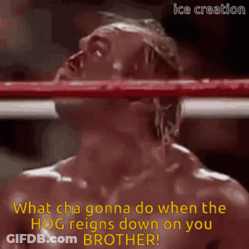 A Man In A Boxing Ring With A Caption That Says What Cha Gonna Do When The Hog Reigns Down On You Brother GIF
